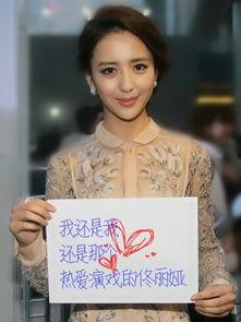 明星了举牌照,明星举牌照背后的故事与传奇