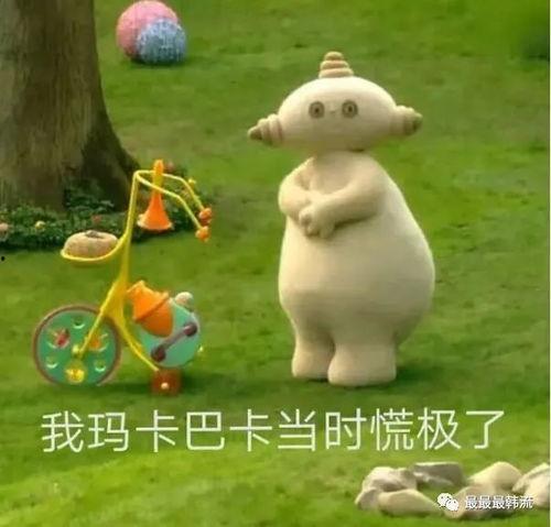 爱丽 表情包,网络时代的情感共鸣与趣味传递