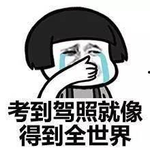 餐厅常用表情包,餐厅常用表情包大盘点